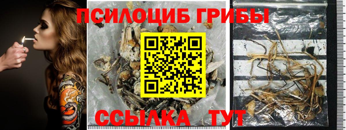 Псилоцибиновые грибы GOLDEN TEACHER Великий Устюг