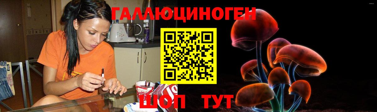 Великий Устюг  Галлюциногенные грибы Cubensis  Вход с VPN 